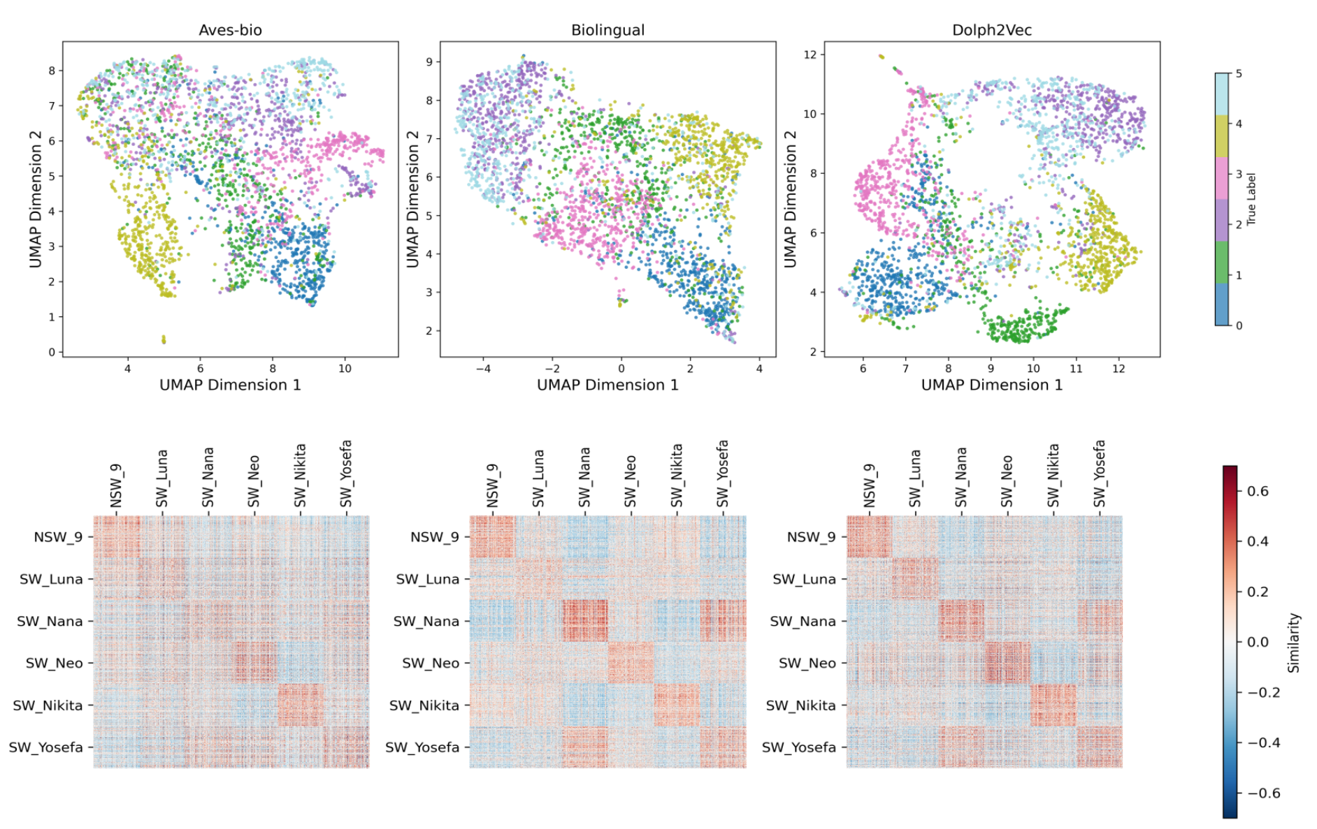 Dolph2Vec Embeddings